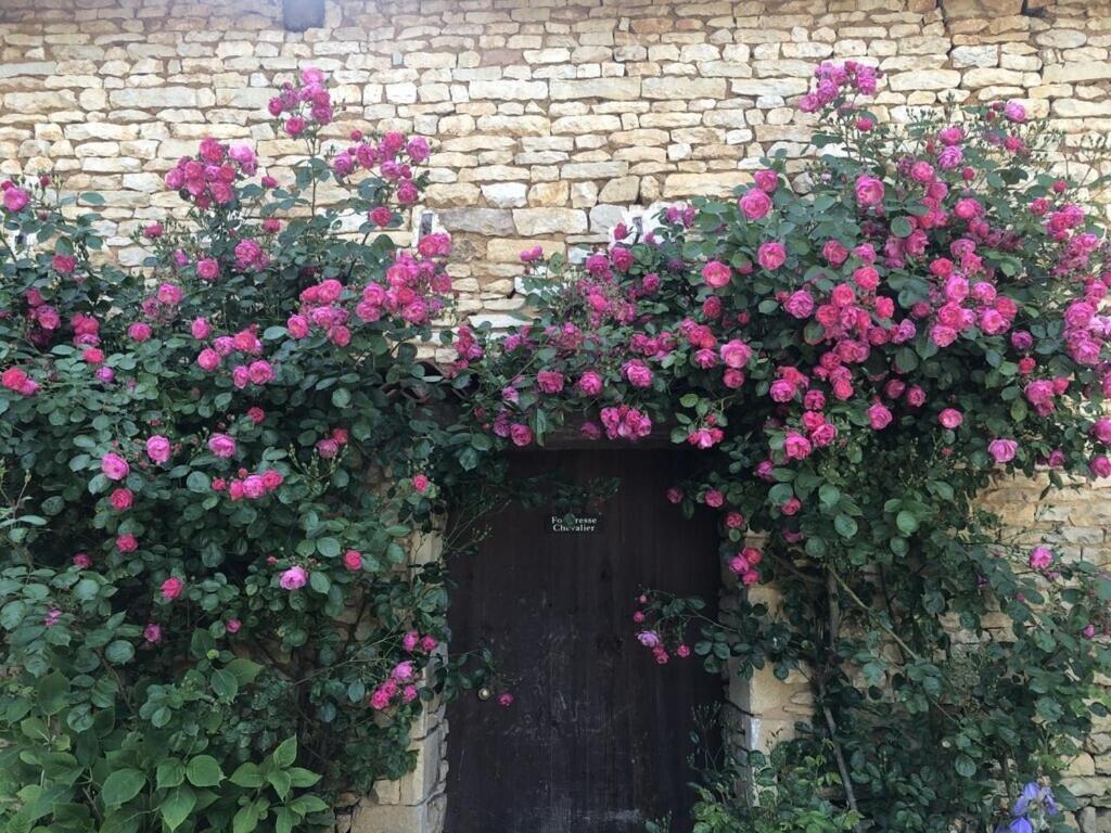 Blacksmiths Apartment In Blanzay - 1 Bed المظهر الخارجي الصورة
